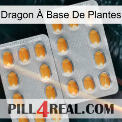 Dragon À Base De Plantes cialis4